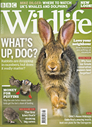 BBC Wildlife September 2018