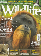 BBC Wildlife September 2019