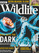 BBC Wildlife September 2020