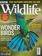 BBC Wildlife September 2021