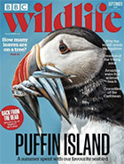 BBC Wildlife September 2022