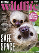 BBC Wildlife September 2023