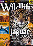 BBC Wildlife September 2016