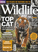 BBC Wildlife September 2017