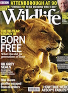 BBC Wildlife Spring 2016