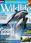 BBC Wildlife Spring 2017