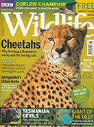 BBC Wildlife Spring 2018