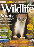 BBC Wildlife Spring 2019