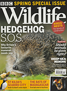 BBC Wildlife Spring 2021