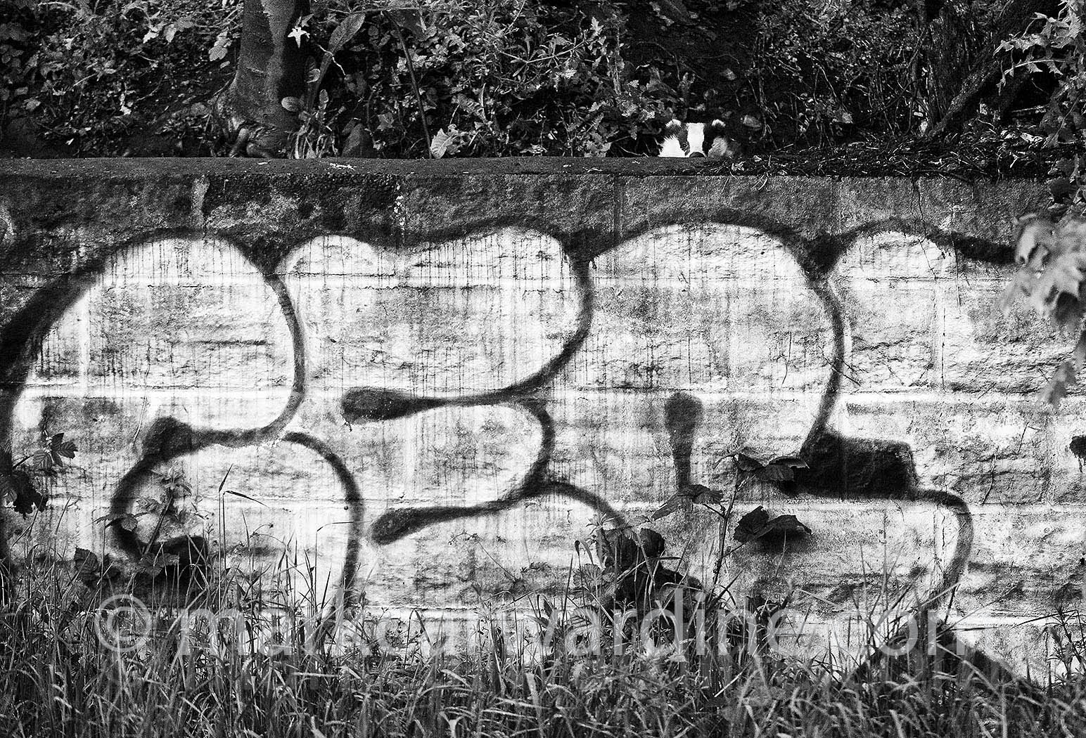 BRIST MUS005 copy 2.jpg