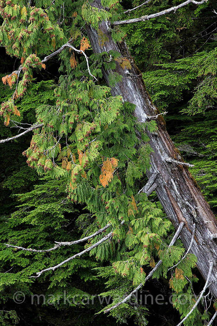 MCCA-0916-235457.jpg