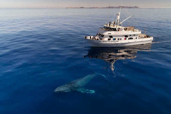 Highlights from Baja California 2022