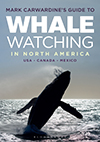 Mark Carwardine’s Guide to Whale Watching in Britain and Europe