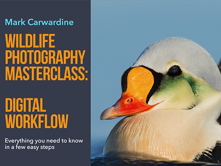 Cover of Mark Carwardine's Wildlife Photography Masterclass: Digital Workflow