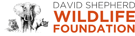 Logo of 'David Shepherd Wildlife Foundation'