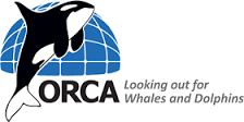 Logo of 'ORCA'