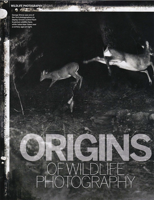 Image representing Mark Carwardine's article about The History of Wildlife Photography