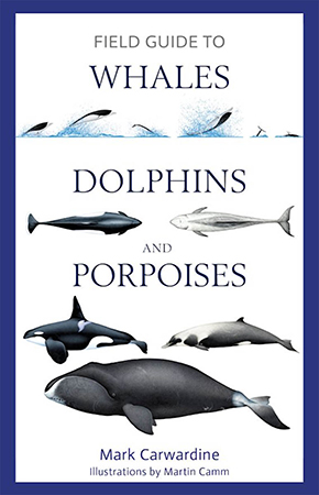 Field Guide to Whales, Dolphins and Porpoises