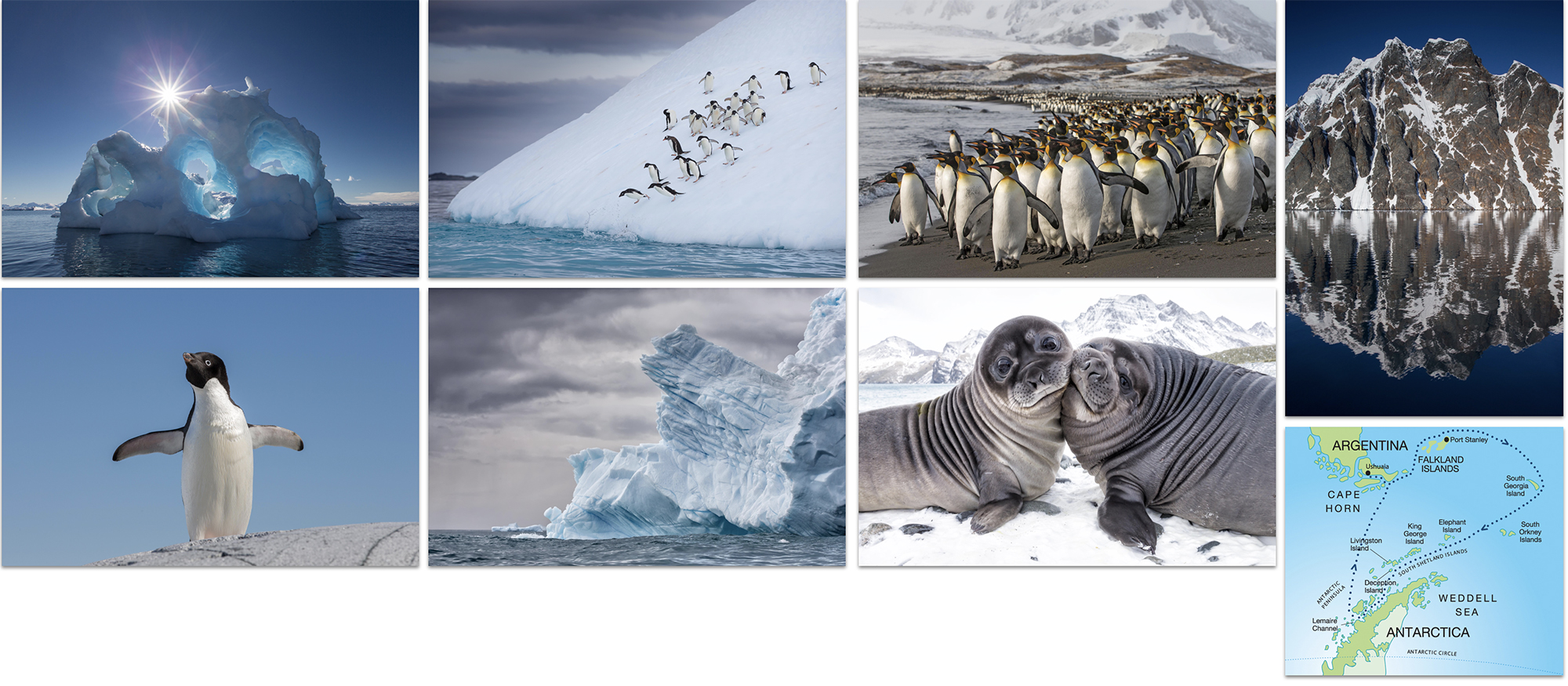 Frozen South Adventure: The Falkland Islands, South Georgia & Antarctic Peninsula