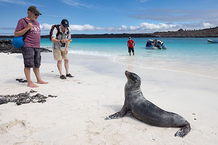 Galápagos Islands Exclusive