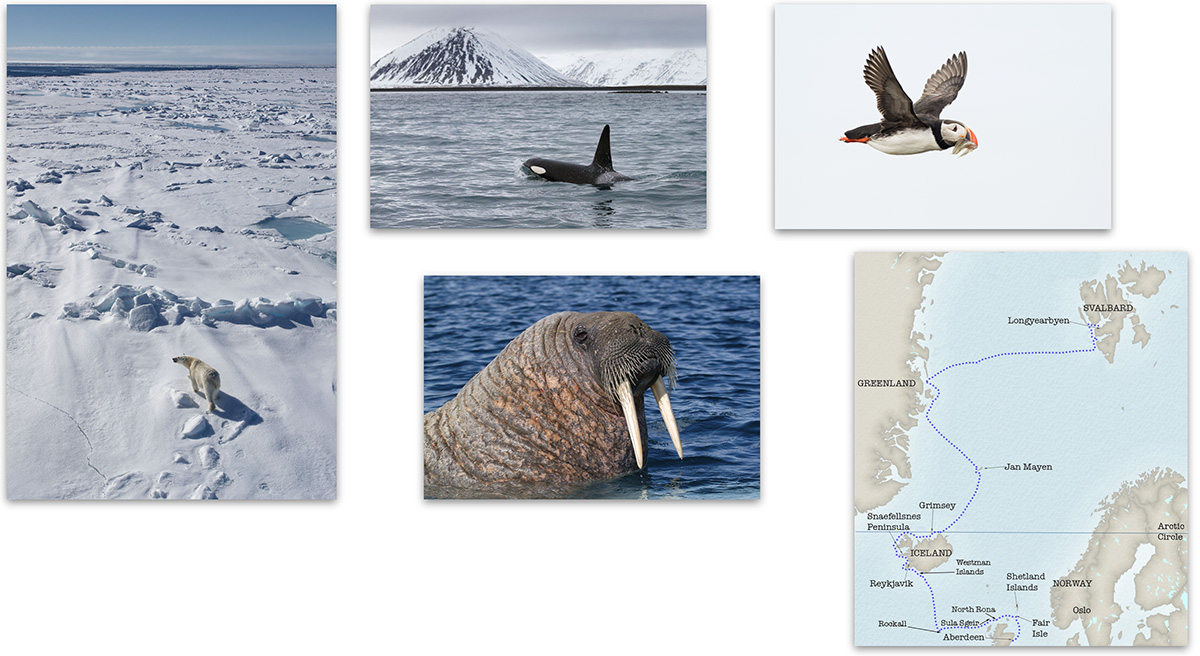 Scotland to Svalbard: A North Atlantic Adventure