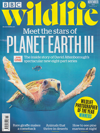 Read Mark's provocative and insightful conservation column in BBC Wildlife