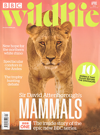 Read Mark's provocative and insightful conservation column in BBC Wildlife