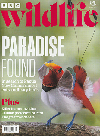 Read Mark's provocative and insightful conservation column in BBC Wildlife