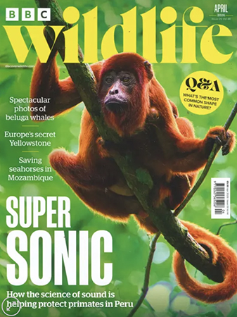 Read Mark's provocative and insightful conservation column in BBC Wildlife