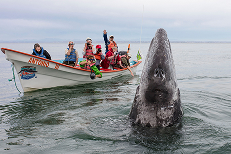Exceptional holidays and <br>wildlife photography workshops with Mark