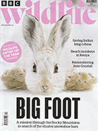 Read Mark's provocative and insightful conservation column in BBC Wildlife