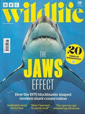 Read Mark's provocative and insightful conservation column in BBC Wildlife