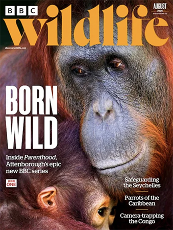 Read Mark's provocative and insightful conservation column in BBC Wildlife