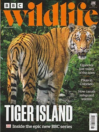 Read Mark's provocative and insightful conservation column in BBC Wildlife