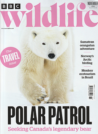 Read Mark's insightful conservation column in BBC Wildlife