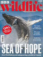 Read Mark's provocative and insightful conservation column in BBC Wildlife