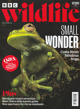 Read Mark's insightful conservation column in BBC Wildlife