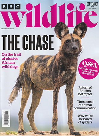 Read Mark's provocative and insightful conservation column in BBC Wildlife