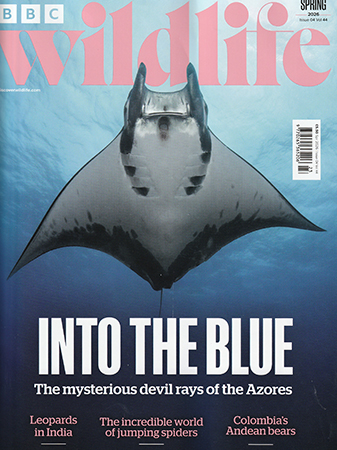 Read Mark's provocative and insightful conservation column in BBC Wildlife