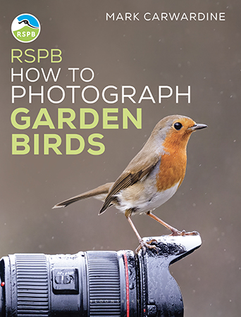 How to Photograph Garden Birds