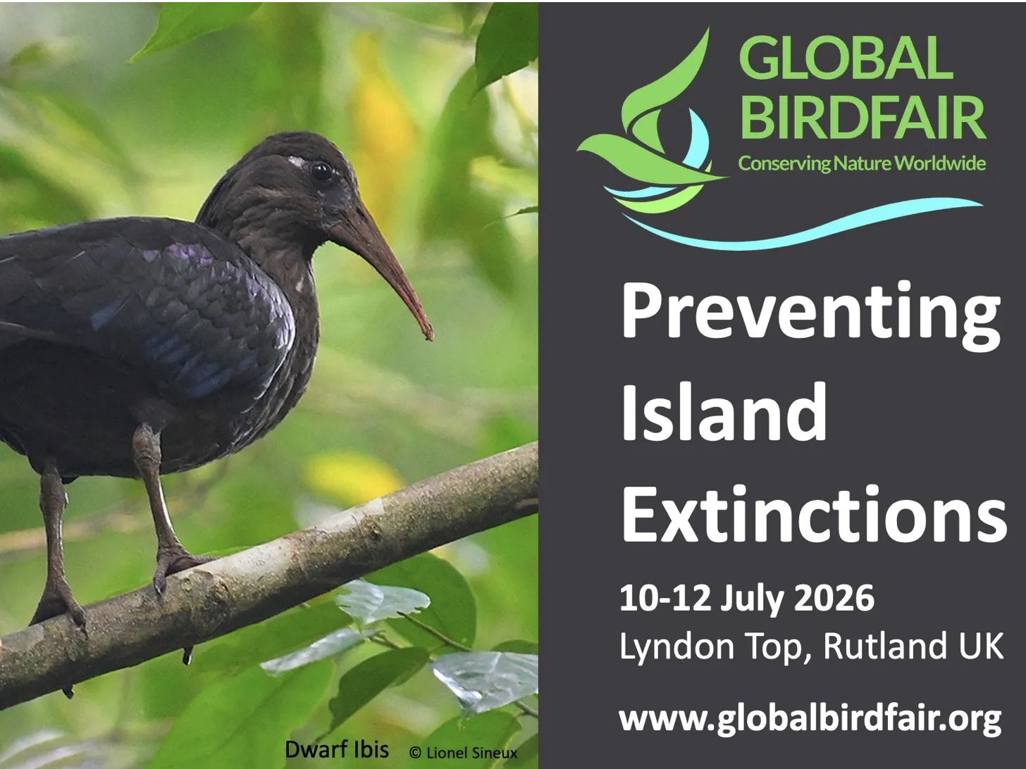 Mark will be talking at this year's Birdfair (his slots are yet to be confirmed)