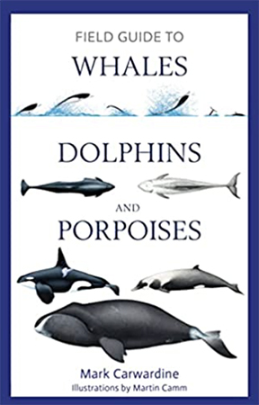 Field Guide to Whales, Dolphins and Porpoises