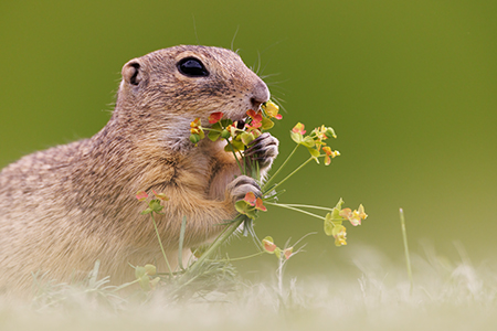 Exceptional holidays and <br>wildlife photography workshops with Mark