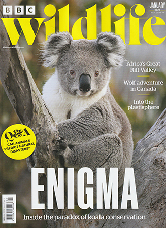 Read Mark's provocative and insightful conservation column in BBC Wildlife