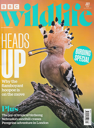 Read Mark's provocative and insightful conservation column in BBC Wildlife