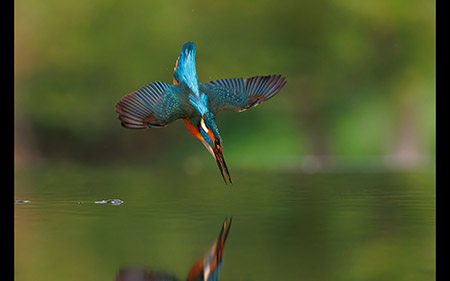 Exceptional holidays and <br>wildlife photography workshops with Mark