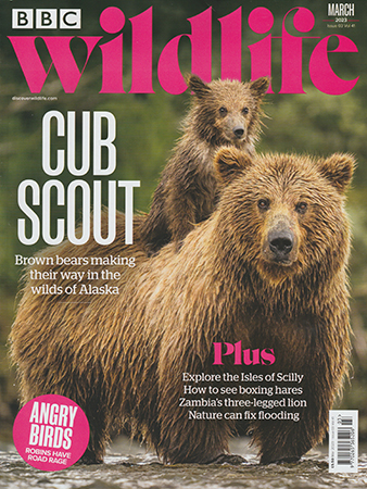 Read Mark's provocative and insightful conservation column in BBC Wildlife