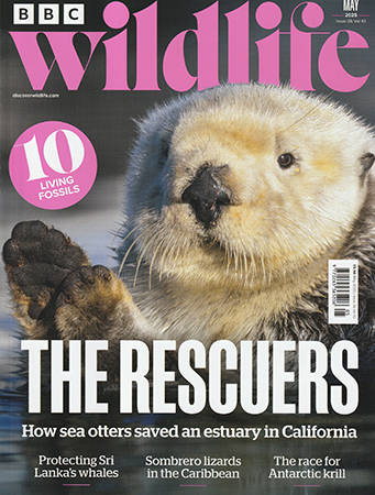 Read Mark's provocative and insightful conservation column in BBC Wildlife