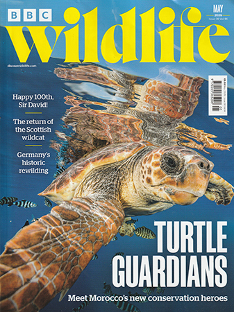 Read Mark's provocative and insightful conservation column in BBC Wildlife