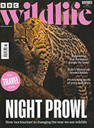 Read Mark's provocative and insightful conservation column in BBC Wildlife